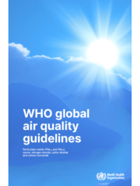 WHO global air quality guidelines: particulate matter (‎PM2.5 and PM10)‎, ozone, nitrogen dioxide, sulfur dioxide and carbon monoxide