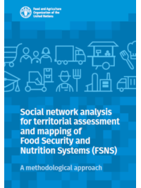 Social network analysis for territorial assessment and mapping of food security and nutrition systems (FSNS): a methodological approach