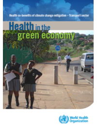 Health in the green economy: health co-benefits of climate change mitigation - transport sector