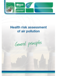 Health risk assessment of air pollution – general principles.