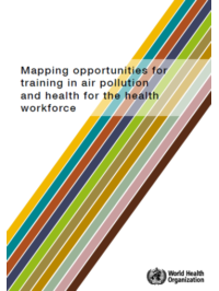 Mapping opportunities for training in air pollution and health for the health workforce