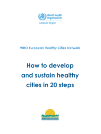 How to develop and sustain healthy cities in 20 steps